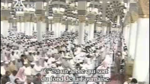 مؤثر " فأقبل بعضهم على بعض يتساءلون "----- ماهر المعيقلي مقطع من سورة  الصافات