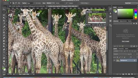 Adobe Photoshop and Dreamweaver - Website London Zoo