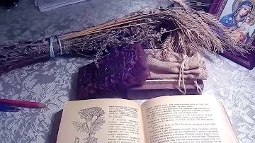 Ликоподий (плаун булавовидный), описание и лечебное применение.