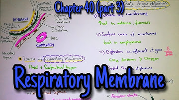 Respiratory Membrane, Respiratory unit. Chapter 40 (part 3). Guyton and hall text book of physiology