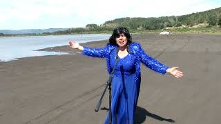 PLAYA TOPOCALMA CERCA DE LITUECHE,CHILE, LOS PIMPIPAYAS