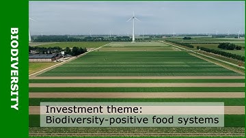 Biodiversity-positive food systems
