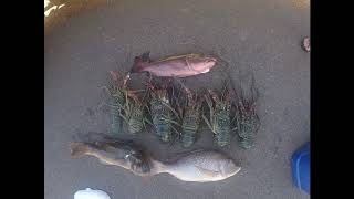 Karratha diving camping surfing fishing