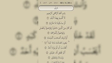 سورة البلد ـــ بصوت القارئ محمد الفقية