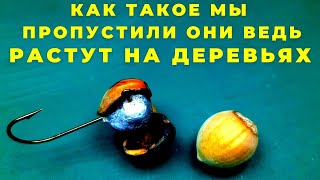 Об Этом Вам Не Расскажет Даже Белочка  Оказывается Лучшие Формы Для Джига Растут На Деревьях  .