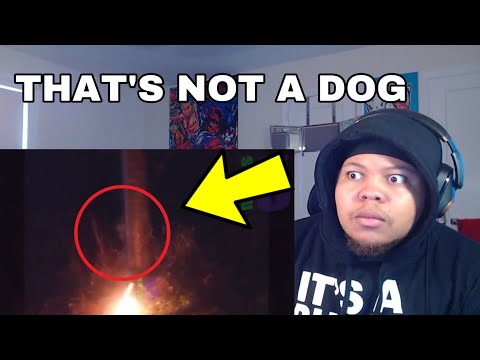 Top 10 GHOST Videos SO SCARY I Had To Have EMERGENCY SURGERY | REACTION | Nuke's Top 5