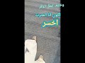 خايف اكون بعافر علي الفاضي