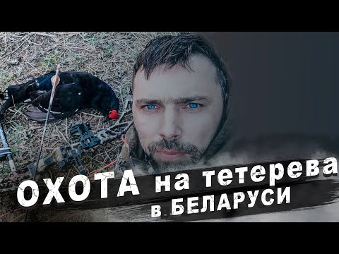 Видео: Охота на тетерева. Охота с блочным луком.