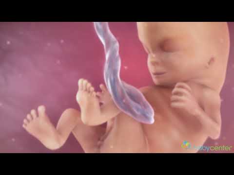 Os sentidos do bebê na gravidez