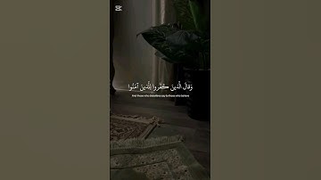 اوليس الله اعلم بما في صدور العالمين - القارئ عبد الرحمن مسعد #قرآن #quran