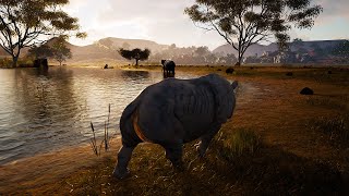Trying to Survive as a Solo Rhino - Animalia Survival screenshot 1