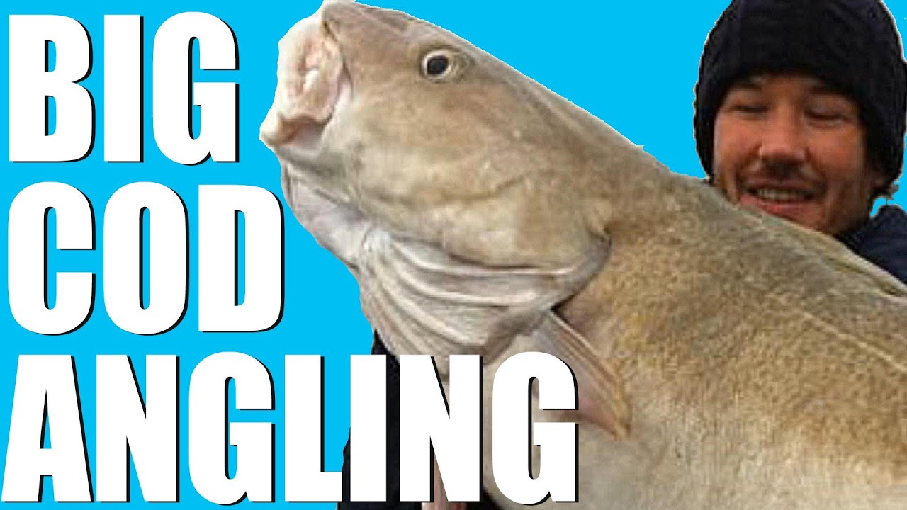 Wreck fishing for record cod - YouTube