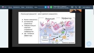 Прибиотики и бактерии основа нашего здоровья!