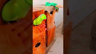 Download Lagu Song, New Song, Song 2022, Mp3 Song Download MP3