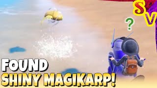 Shiny Magikarp Flops on the Beach! Live Shiny Reaction in Pokemon Violet