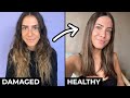 My Hair Journey | How I Fixed My Damaged Hair