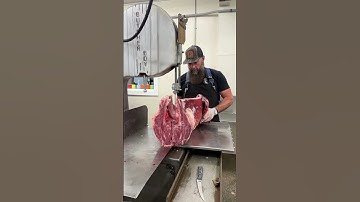 Splitting a deer saddle. 🔪🦌 #shorts