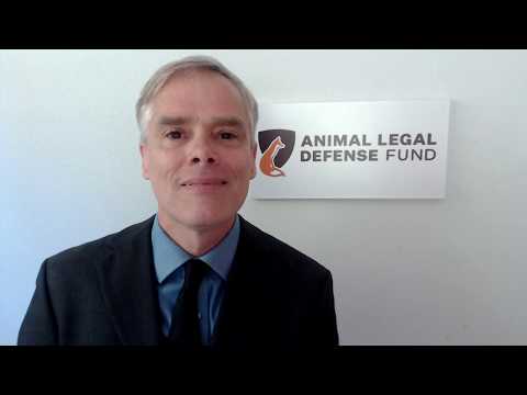 Thumbnail for Stephen Wells, Animal Legal Defense Fund