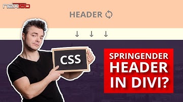 Fix: SPRINGENDEN Header beim DIVI-THEME vermeiden