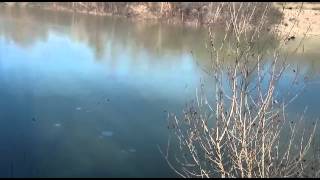 Burgo de Ebro Congelado