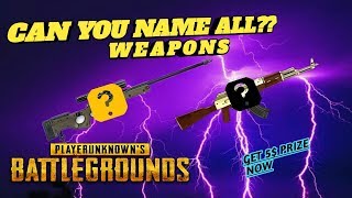 CAN YOU NAME ALL GUNS? PUBG QUIZ screenshot 5