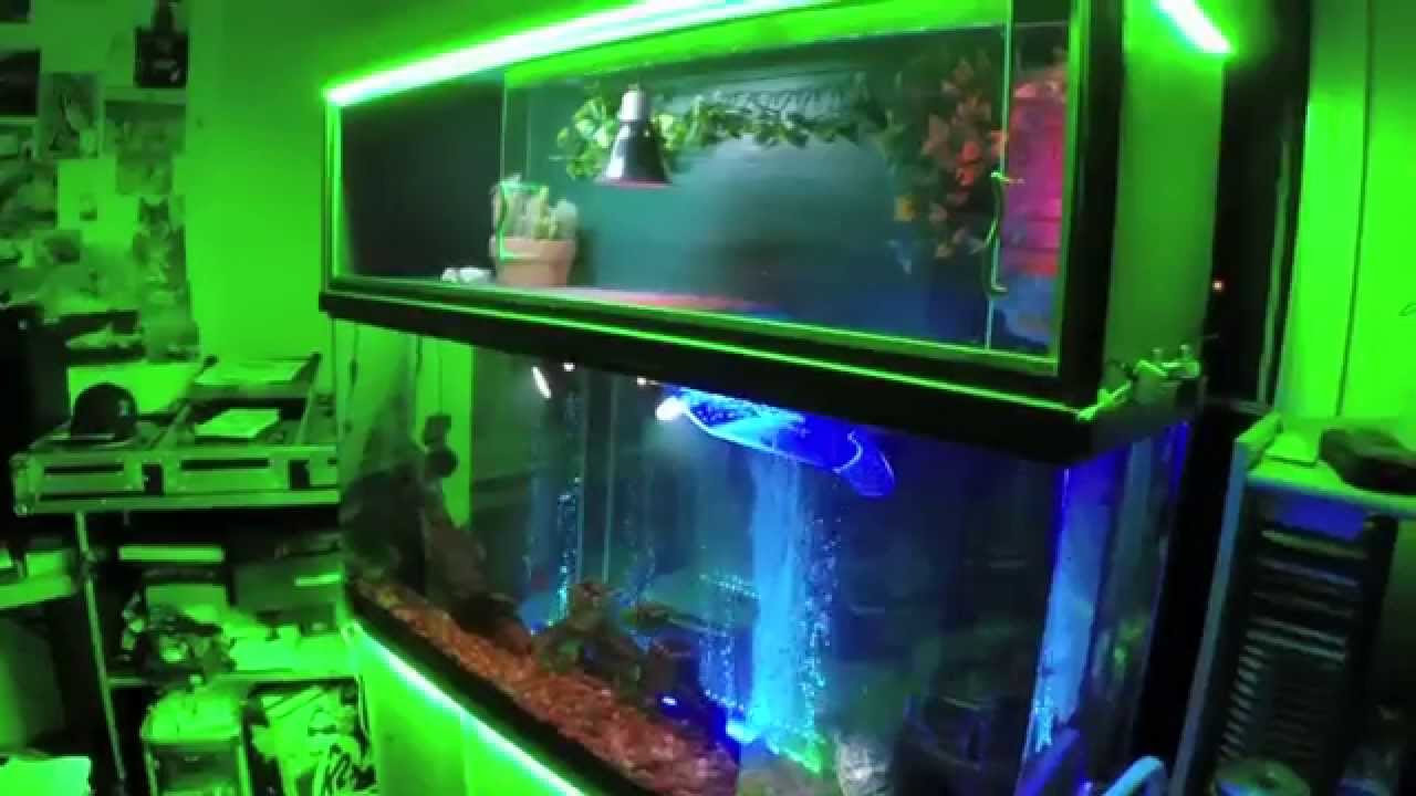 Turtle Topper Above 100 Gallon Aquarium 