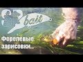 SPbait. Форелевые зарисовки...