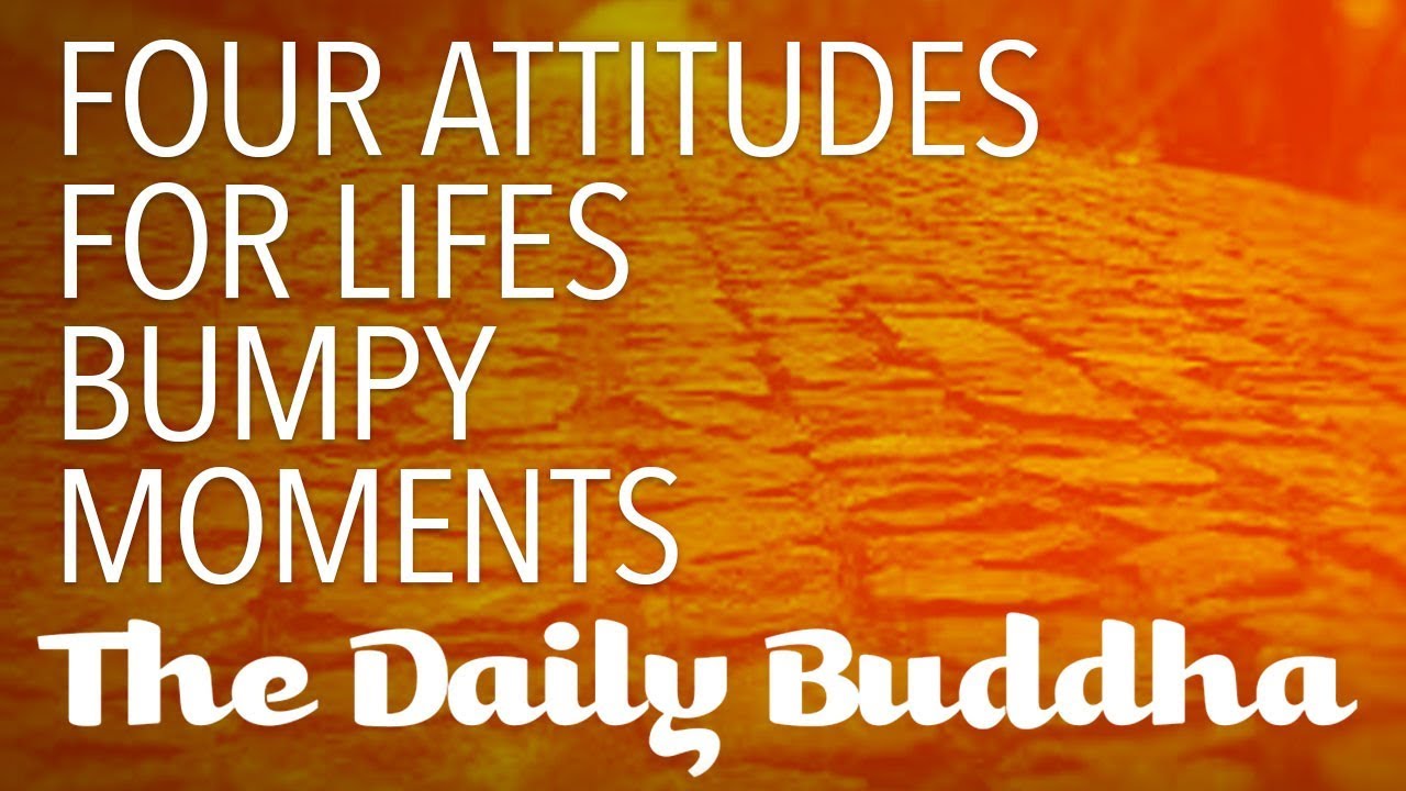 Four attitudes for life's bumpy moments - The Daily Buddha - YouTube