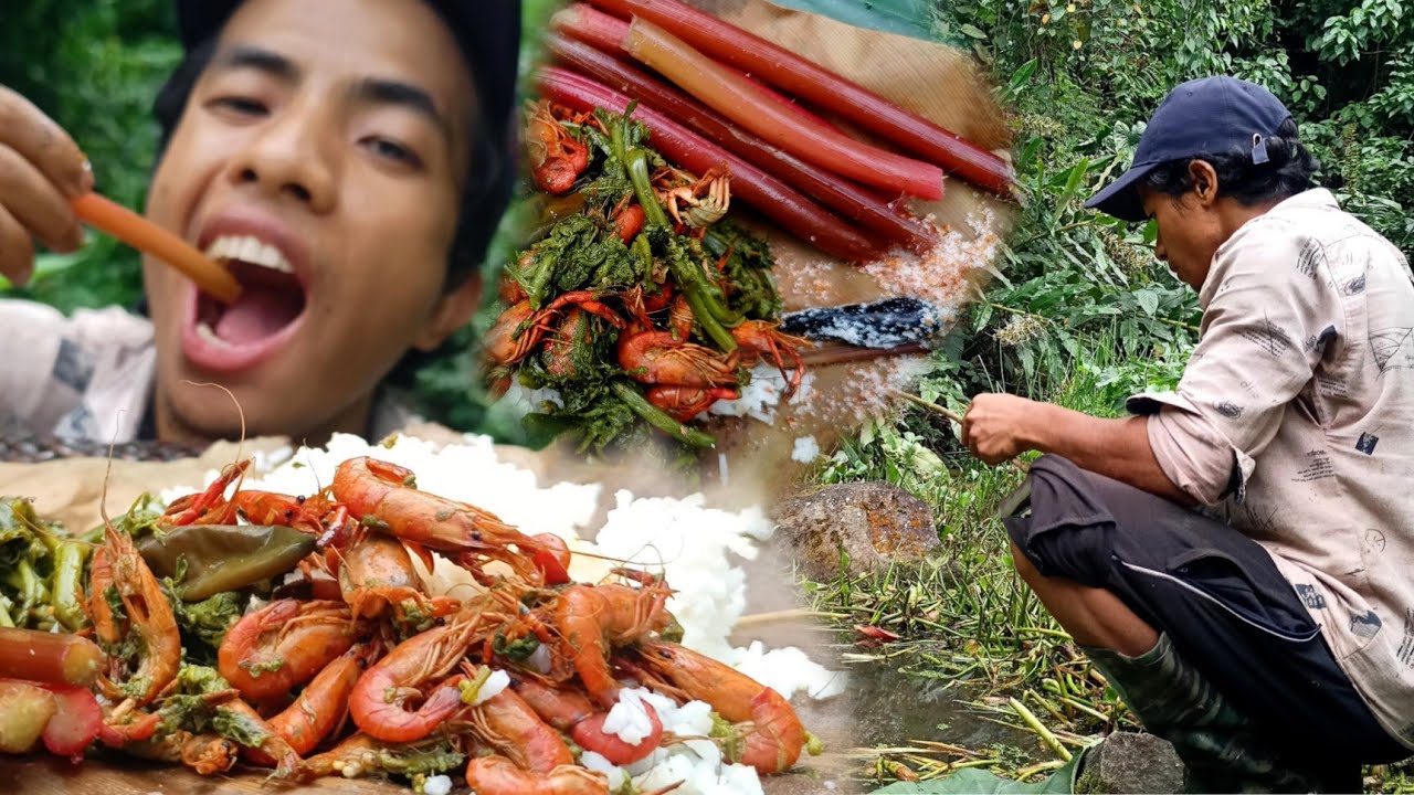 Catch Mountain Shrimps || Cook & Eat || Arunachal Pradesh.