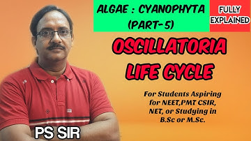Algae: Cyanophyta (Part-5) | Oscillatoria Life Cycle | NEET,PMT,CSIR,NET,B.Sc,M.Sc | PS Sir| Botany