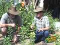 Kuffel creek apple nursery