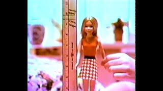 Growing Up Skipper Doll - Puberty Doll - Barbie retro vintage toy