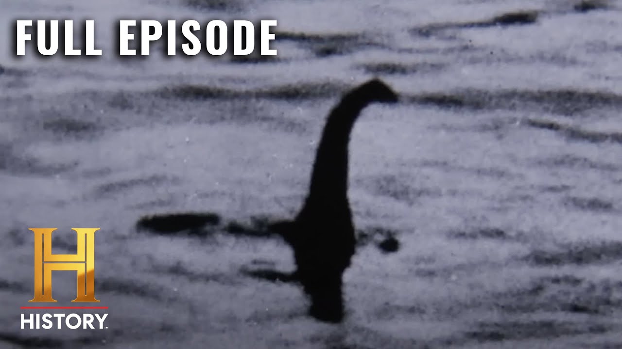 The hunt for Mokele-mbembe: Congo's Loch Ness Monster - BBC News