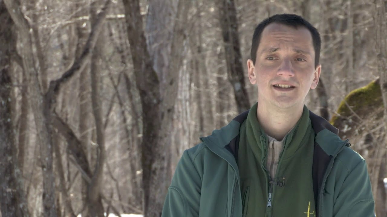 Moja lepa Srbija: Tara