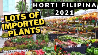 HORTI FILIPINA TOUR 2021 + IMPORTED PLANTS FROM HOLLAND &amp; THAILAND