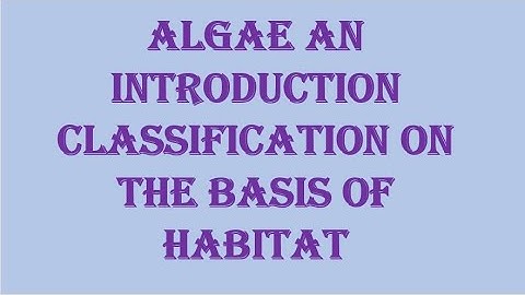 Algae, An  Introduction and classification on the basis of habitat