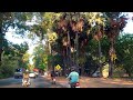 Siem Reap to Bakong, បាគង - #បាគង , #cambodia , #travel #traveling #longua #asia #thailand #temple