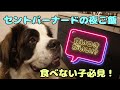 【超大型犬】愛犬の夜ご飯。食いつきが良くなるごはんの作り方!?