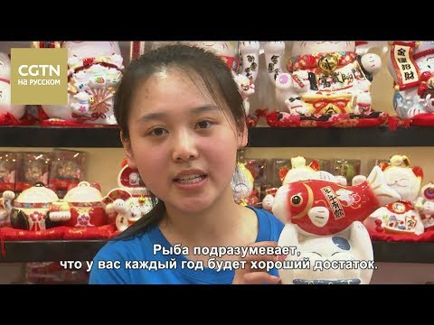 Почему карп в Китае символизирует удачу?[Age0+]