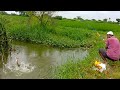 🎣 Grass Carp Fishing||🎣Rohu Fish Catching||Grass carp/Rohu Fish catching||Rohu Fishing|Fish Hunting