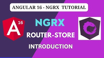 NGRX Router-Store Introduction & implementation | how to add route state into ngrx store