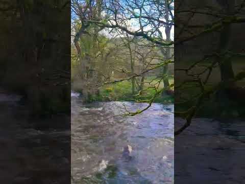 River Manifold - Wetton Mill - Manifold Valley - Peak District | Solo Hiking