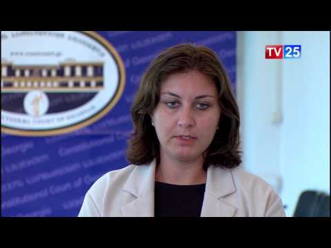 პლენუმი პერსონალურ მომნაცემთა დაცვის ინსპექტორ თამარ ქალდანს უსმენს