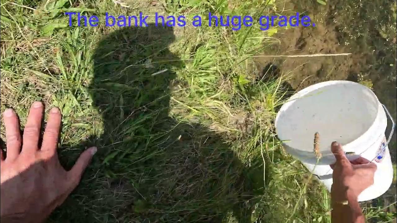 много женской одежды. Cleaned me out. Out if the closet in my clone. Cleaned me out. Clean out the fridge.