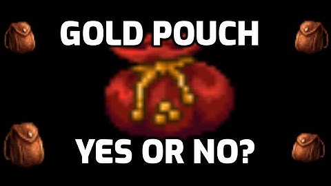 Should You Buy The Gold Pouch?
