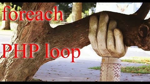 foreach PHP #shorts