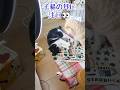 子猫に猫の流儀を