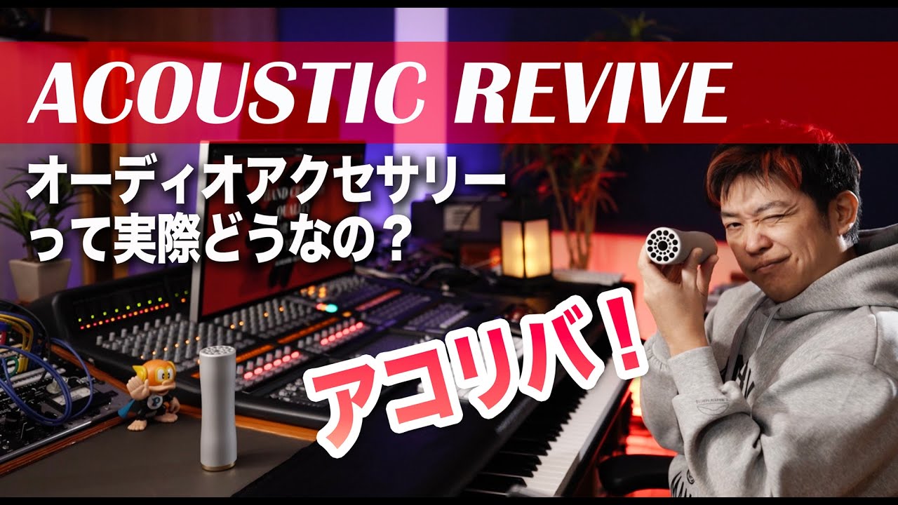 アコースティックリバイブ RR-888チューンアップ おまけ付き 