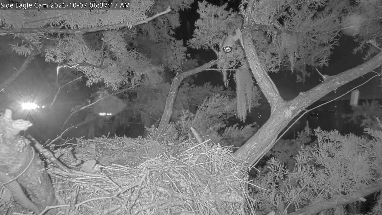 Winter Park Eagle Nest