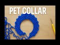 DIY Pet Collar with Crochet 🧵 | Fast, Cute &amp; Handmade!